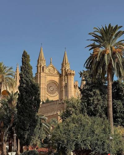 Отзывы City Quest Palma